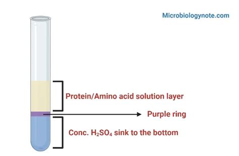 hopkins cole test positive result|Hopkins–Cole reaction .